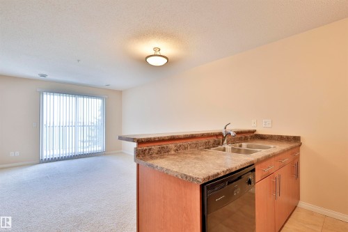 #213 6925 199 St Nw, Edmonton, AB - Indoor Photo Showing Kitchen With Double Sink