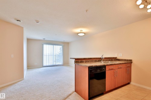 #213 6925 199 St Nw, Edmonton, AB - Indoor Photo Showing Kitchen With Double Sink