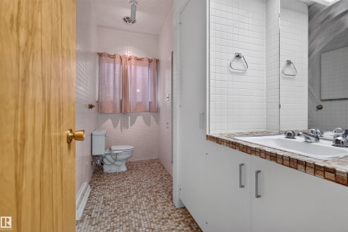 13842 Ravine Drive Nw, Edmonton, AB - Indoor Photo Showing Bathroom