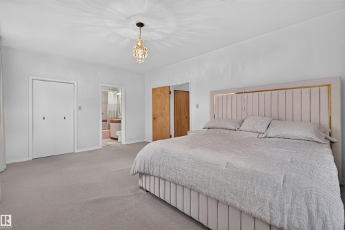 13842 Ravine Drive Nw, Edmonton, AB - Indoor Photo Showing Bedroom
