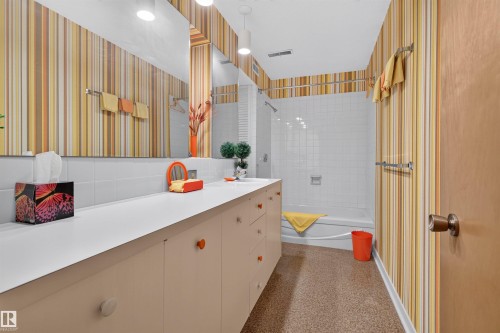 13842 Ravine Drive Nw, Edmonton, AB - Indoor Photo Showing Bathroom