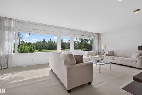 13842 Ravine Drive Nw, Edmonton, AB - Indoor Photo Showing Living Room