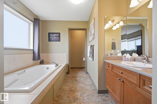 5420 162B Avenue Nw, Edmonton, AB - Indoor Photo Showing Bathroom