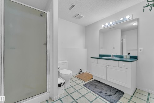 916 Jordan Crescent Nw, Edmonton, AB - Indoor Photo Showing Bathroom