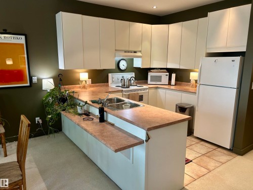 #206 11415 100 Av Nw, Edmonton, AB - Indoor Photo Showing Kitchen With Double Sink