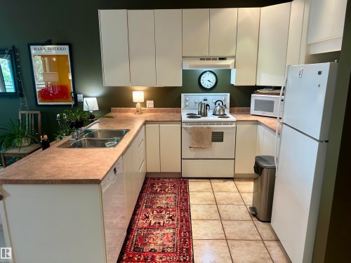 #206 11415 100 Av Nw, Edmonton, AB - Indoor Photo Showing Kitchen With Double Sink