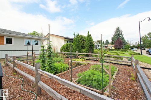 Raised garden beds with a split-rail fence and wood chip ground cover - 5712 113B Street Nw, Edmonton, AB - Outdoor