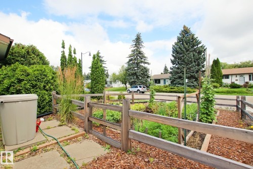 Raised garden beds enclosed by a wooden fence - 5712 113B Street Nw, Edmonton, AB - Outdoor