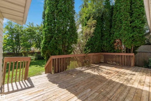 Expansive wood deck with wood railings, steps down to a manicured lawn, and mature evergreen trees providing natural screening - 14725 43A Avenue Nw, Edmonton, AB - Outdoor With Deck Patio Veranda