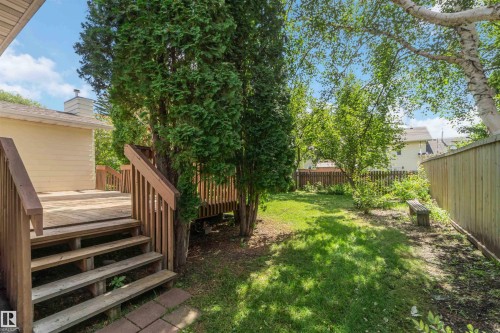 Expansive wood deck with stairs, surrounded by mature trees and a privacy fence - 14725 43A Avenue Nw, Edmonton, AB - Outdoor