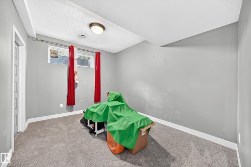 Neutral gray walls and light gray carpet create a versatile backdrop - 12730 118 Street Nw, Edmonton, AB - Indoor
