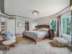 Tray ceiling with crown molding, recessed lighting fixture, carpeted flooring, large windows, and an organized walk-in closet - 