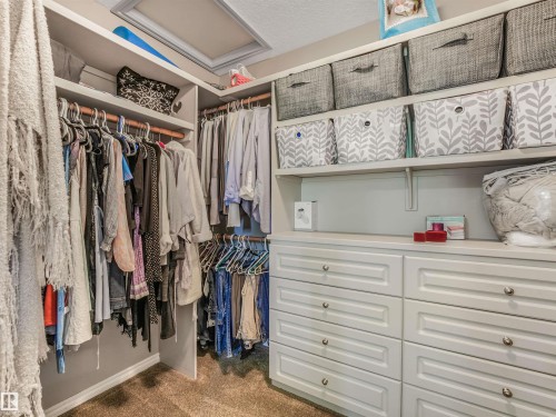 Built-in shelving, integrated dresser storage with silver-tone hardware, and carpeted flooring - 967 Lamb Crescent Nw, Edmonton, AB - Indoor With Storage