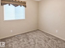 Plush carpeting, neutral wall finishes, and a single window with blinds - 