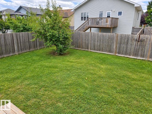 Expansive backyard featuring a manicured lawn, established tree, and full privacy fencing - 507 Wiseman Lane Nw, Edmonton, AB 