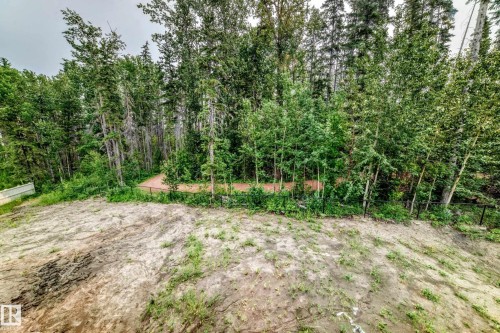 55 Meadowgrove Lane, Spruce Grove, AB - Outdoor