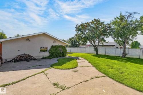 Expansive green lawn, mature trees, concrete pathway, chain link fence, and stucco exterior - 13903 87 Street Nw, Edmonton, AB - Outdoor