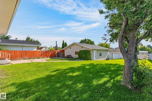 Expansive backyard featuring a manicured lawn, a mature tree, and a detached garage with exterior lighting - 13903 87 Street Nw, Edmonton, AB - Outdoor