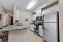 #107 16715 100 Av Nw, Edmonton, AB  - Indoor Photo Showing Kitchen With Double Sink 
