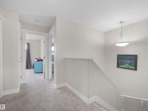 Carpeted hallway with white trim, leading to multiple rooms - 17127 126 Street Nw, Edmonton, AB - Indoor Photo Showing Other Room