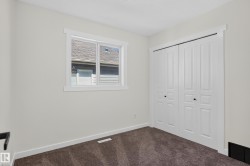 Neutral-toned walls, white trim, and brown carpet flooring - 