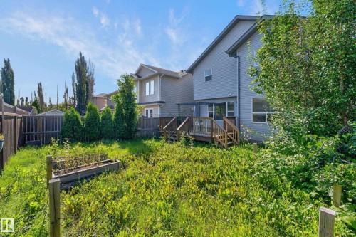 Spacious backyard featuring lush, mature landscaping with established greenery and flowering plants, wooden fencing, raised garden beds, and a two-story home with composite deck, multiple windows, and contemporary architectural design - 1315 Westerra Drive, Stony Plain, AB - Outdoor