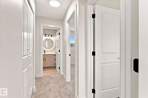 Hallway with light-toned carpeting, white panel doors, and a flush-mount ceiling light - 18307 66 Avenue Nw, Edmonton, AB - Indoor Photo Showing Other Room