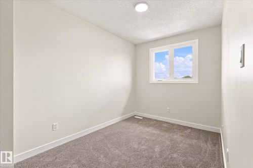 Neutral wall paint, plush carpeting, white trim, and a flush-mount ceiling light - 18307 66 Avenue Nw, Edmonton, AB - Indoor Photo Showing Other Room