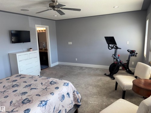 Wall-mounted television with recessed lighting, ceiling fan, and carpet flooring - 1452 36A Avenue Nw, Edmonton, AB - Indoor