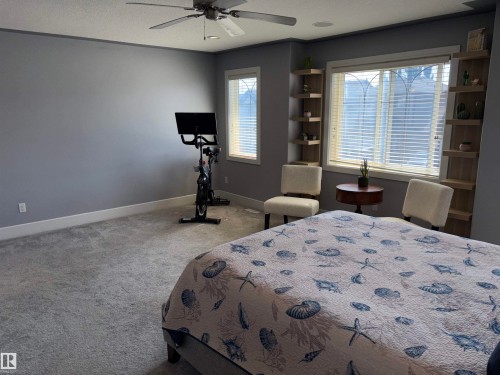 Spacious primary bedroom suite with soft-gray painted walls, plush carpeting throughout, and abundant natural light from dual glass doors with plantation shutters - 1452 36A Avenue Nw, Edmonton, AB - Indoor Photo Showing Bedroom