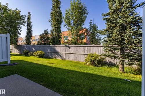Expansive grass lawn with mature trees and a wood panel fence - #7 16823 84 St Nw Nw, Edmonton, AB - Outdoor With Backyard