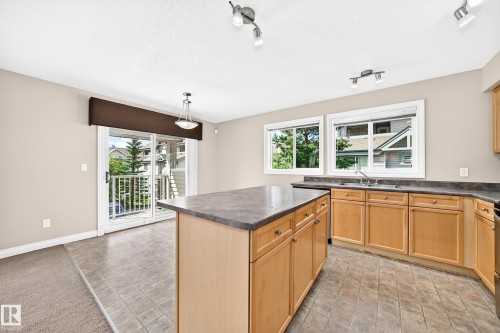 #54 12050 17 Av Sw, Edmonton, AB - Indoor Photo Showing Kitchen With Double Sink
