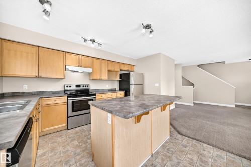 #54 12050 17 Av Sw, Edmonton, AB - Indoor Photo Showing Kitchen With Double Sink