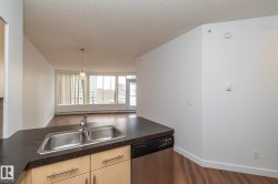 Kitchen peninsula with dual stainless steel sink and integrated dishwasher - 