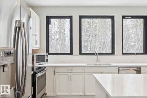 #9 1304 Rutherford Rd Sw, Edmonton, AB - Indoor Photo Showing Kitchen