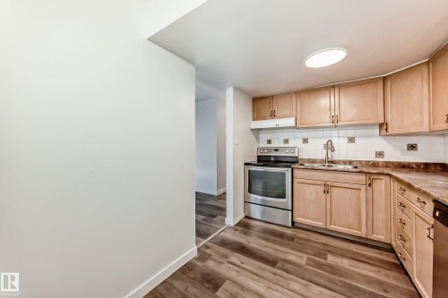 #18B 18305 89 Av Nw, Edmonton, AB - Indoor Photo Showing Kitchen With Double Sink