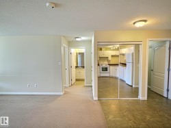Open-concept living space with carpeted flooring - 