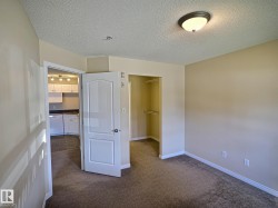 Neutral tone wall paint, textured ceiling, flush mount ceiling light fixture, carpeting, and an open closet with shelving - 