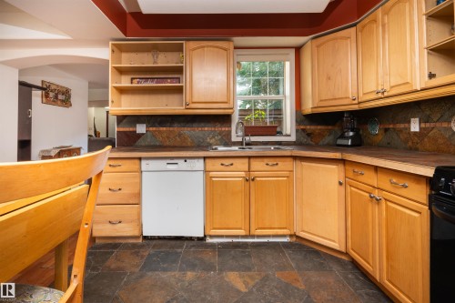 11918 42 Street Nw, Edmonton, AB - Indoor Photo Showing Kitchen With Double Sink