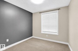 Carpeted flooring, window with white blinds, neutral wall tones, and a contrasting accent wall - 
