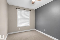 Carpeted flooring, window with blinds, ceiling fan with light, and two-tone wall paint - 