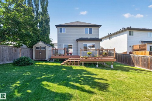 Expansive green lawn with a multi-level wood deck featuring a railing system and steps - 9515 221 Street Nw, Edmonton, AB - Outdoor With Deck Patio Veranda With Backyard
