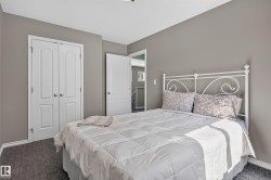 Neutral-toned walls complement plush carpeting - 