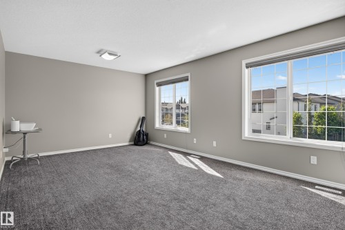 Neutral wall paint, plush carpet flooring, multiple windows with grid patterns, and a ceiling-mounted light fixture - 9515 221 Street Nw, Edmonton, AB - Indoor Photo Showing Other Room
