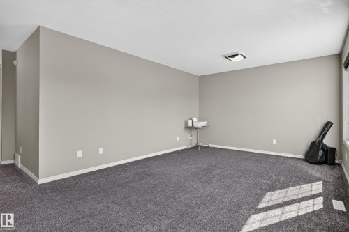 Spacious room featuring neutral wall paint, gray carpeting, and a flush-mount ceiling light - 9515 221 Street Nw, Edmonton, AB - Indoor Photo Showing Other Room