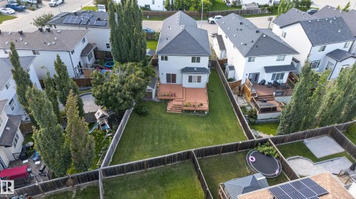 Spacious backyard featuring a multi-level wood deck, expansive lawn, and mature trees - 9515 221 Street Nw, Edmonton, AB - Outdoor