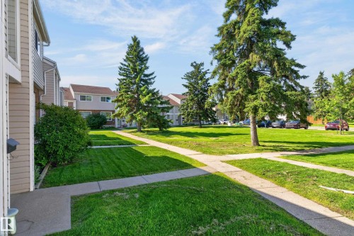 Manicured lawn with mature trees and concrete pathways - 18247 93 Avenue Nw, Edmonton, AB - Outdoor