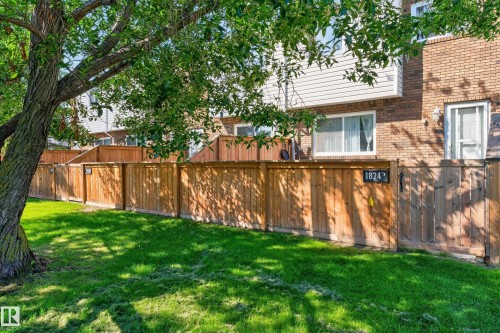 Private backyard with wood fencing, a mature tree, and a manicured lawn - 18247 93 Avenue Nw, Edmonton, AB - Outdoor