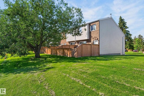 Expansive green space featuring a mature deciduous tree, wood panel fencing, and a multi-level building exterior with brick and siding finishes - 18247 93 Avenue Nw, Edmonton, AB - Outdoor