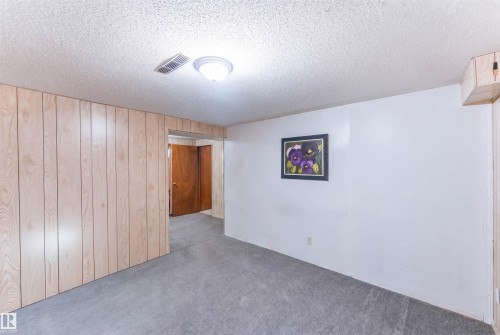 Wall paneling with wood-finish, carpeted flooring, and a flush-mount ceiling light - 4609 38A Avenue Nw, Edmonton, AB - Indoor Photo Showing Other Room